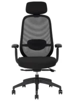 Spirit Express Black Respaldo Alto