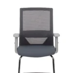 Vision Gray Visita